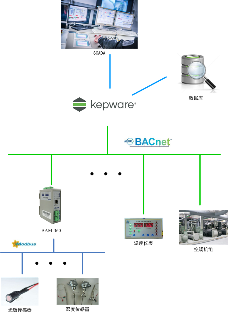 BMS-1